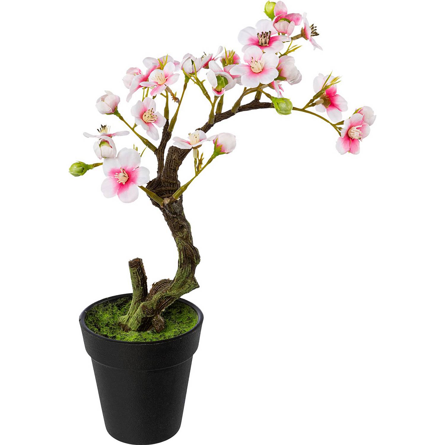 Kunstpflanze Mandelbonsai