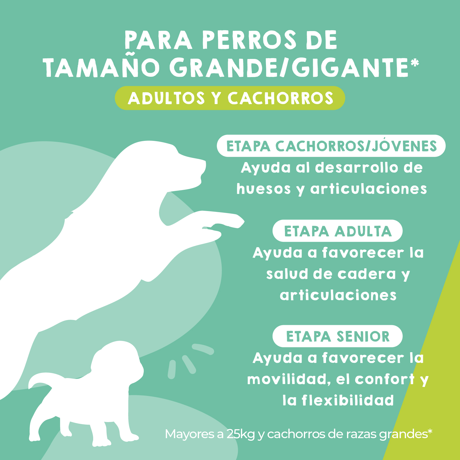 MAIKAI Condroprotetor para Cães de Grande Porte e Gigantes - 120 Comprimidos