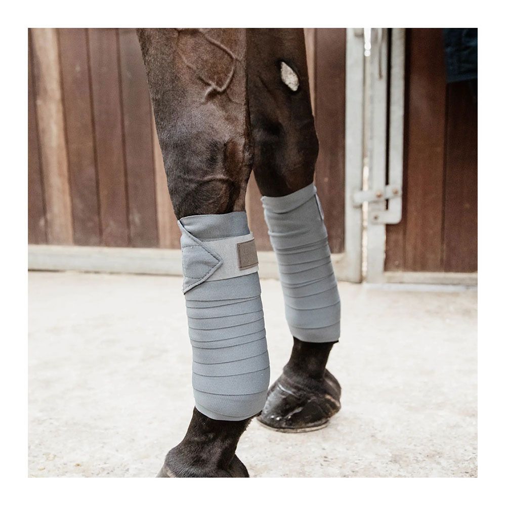 Kentucky REPELLENT - Bandes de travail x2 gris