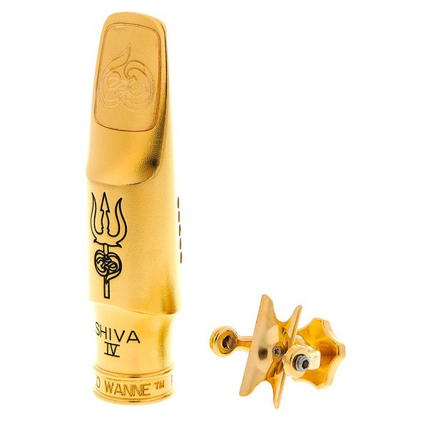 Theo Wanne Shiva IV Alto 8 Gold
