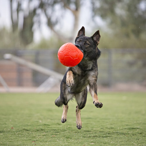 Jolly Soccer Ball