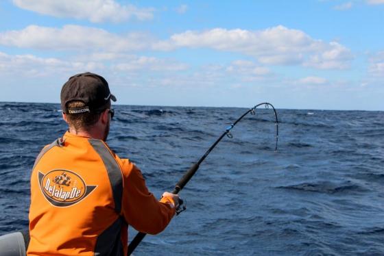 Blank TUNA EXPRESS R710 7'10 2.38m 20-90grs