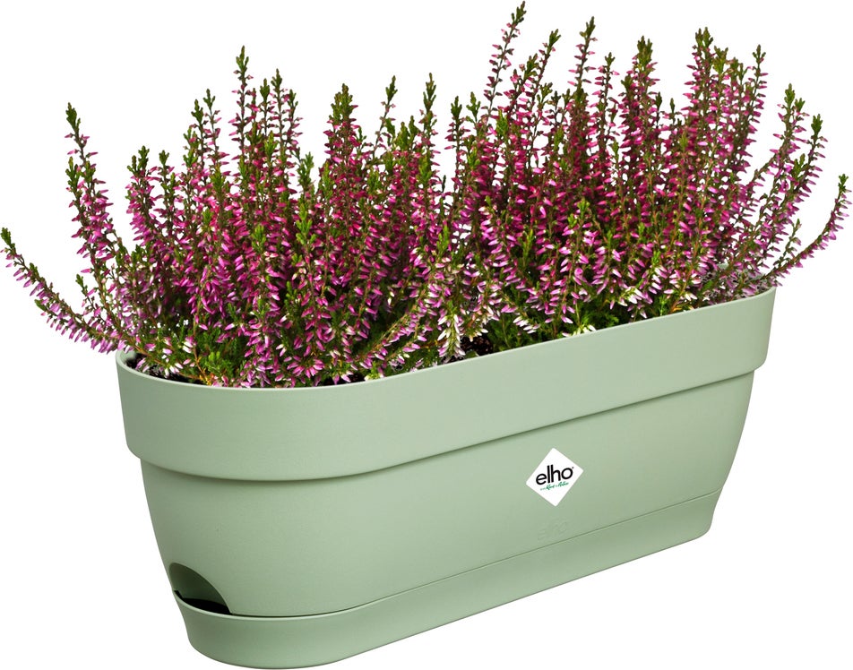 Elho balkonbak Vibia Campana groen 49 x 18,2 x 17 cm