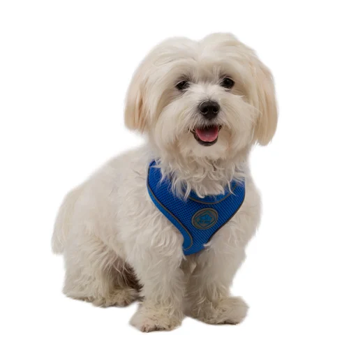 Coleira peitoral azul refletora macia TK-Pet para cães