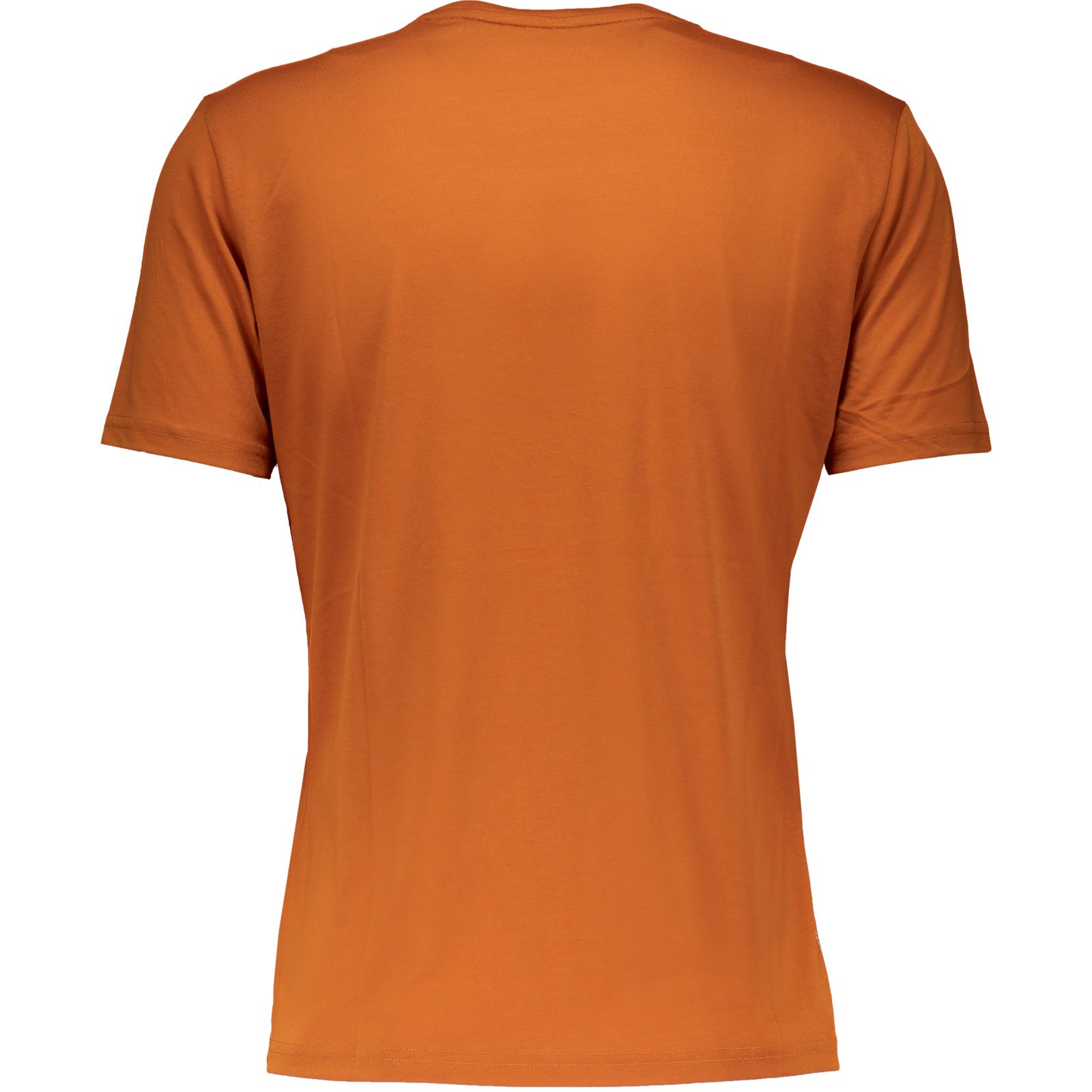 Salewa Herren-T-Shirt Pure Eagle Dry T-Shirt M, braun