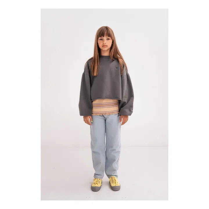 Repose AMS Sweat Coton Bio Crop | Gris anthracite