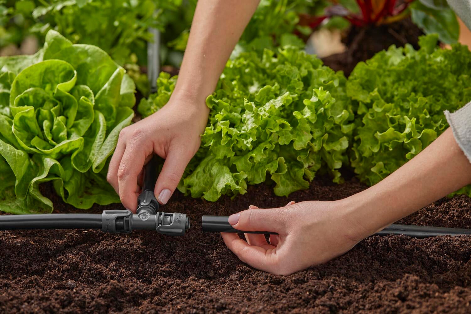 Gardena Micro Drip systeem T-stuk 13 mm 1/2 inch