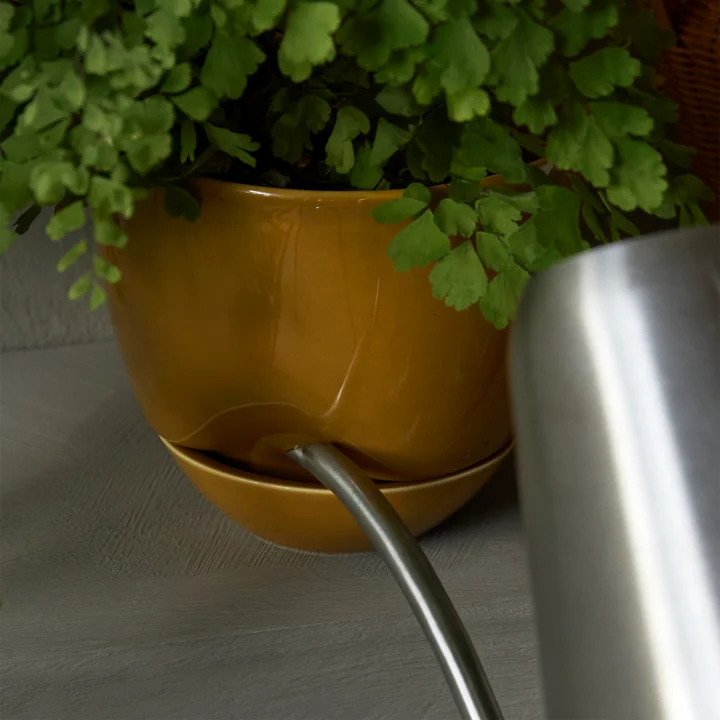 Audo - Hydrous Pflanztopf, Ø 12 cm, ocker