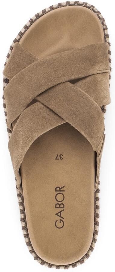 Gabor Dames Slippers 83.780.14 Bruin