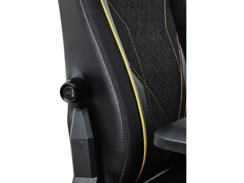 Trust Gaming-Stuhl GXT 721 Ruya Pro Schwarz Komfortabler Premium-Gaming-Stuhl