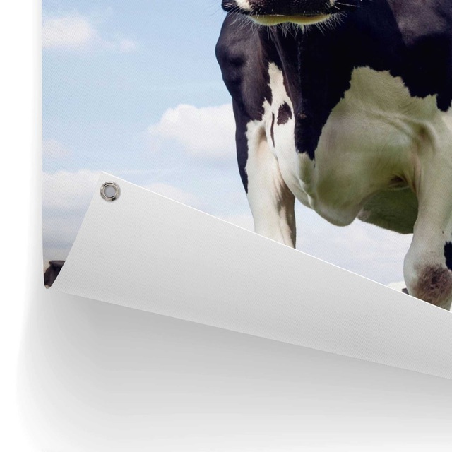 Reinders! Poster »Dutch Cow« Garten - Kuh - Wiese - Grün - Leinwand - Tiere - 60x80 cm