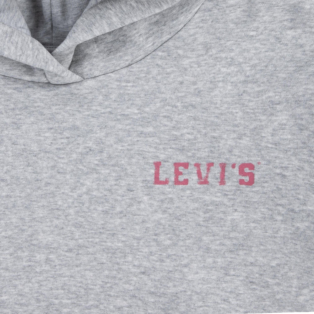 Køb Levi's GREY Collegiate Pullover Hoodie