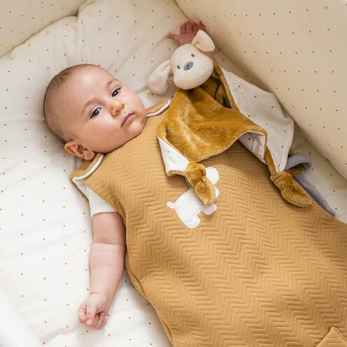 Maxi doudou chien caramel CHARLIE - NATTOU