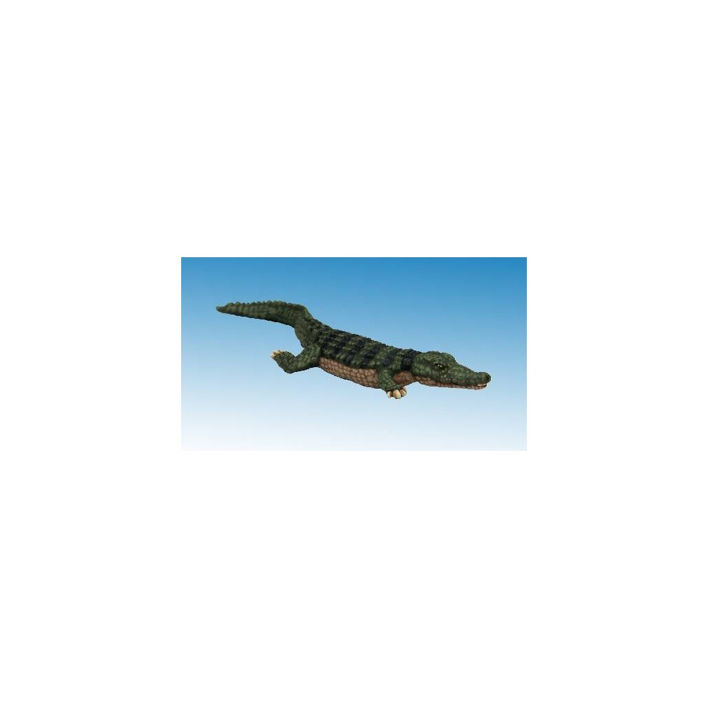 Crocodile