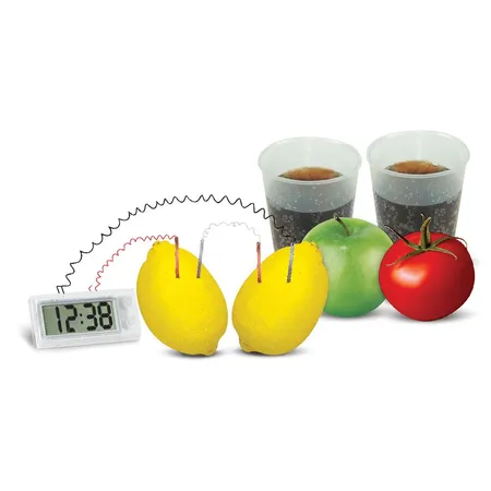 HCM Kinzel Green Science - Kartoffeluhr