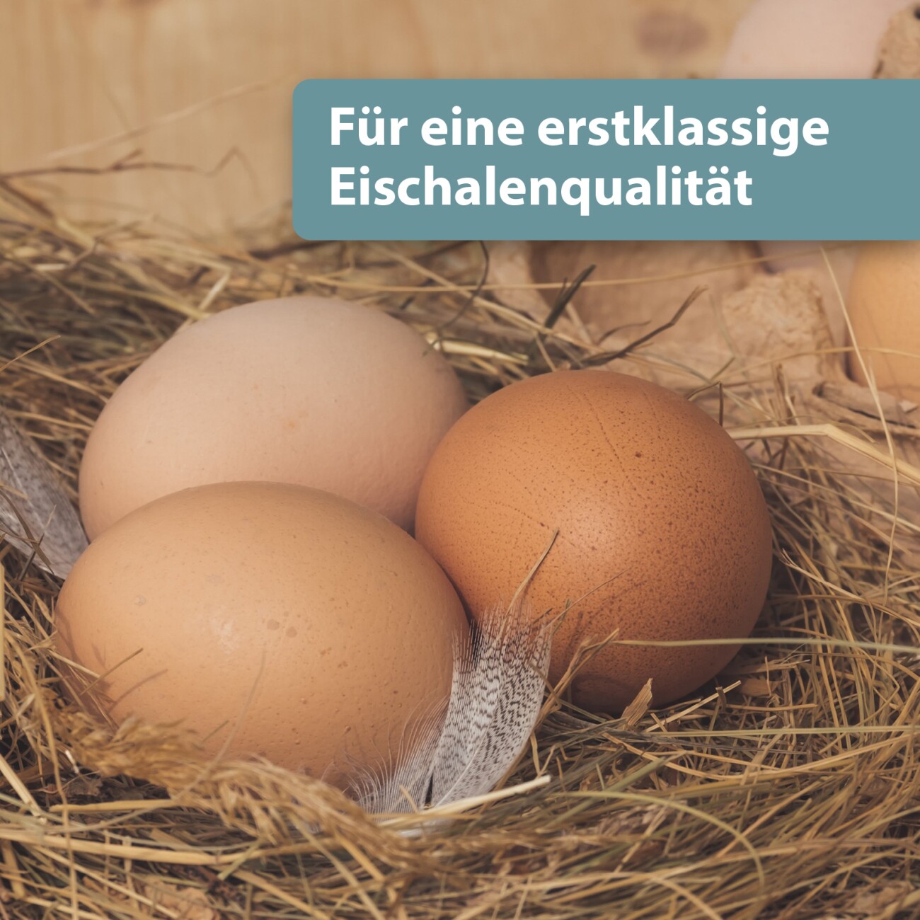 Quiko Hobby Farming: Mineralgrit mit Magenkiesel 1500 g