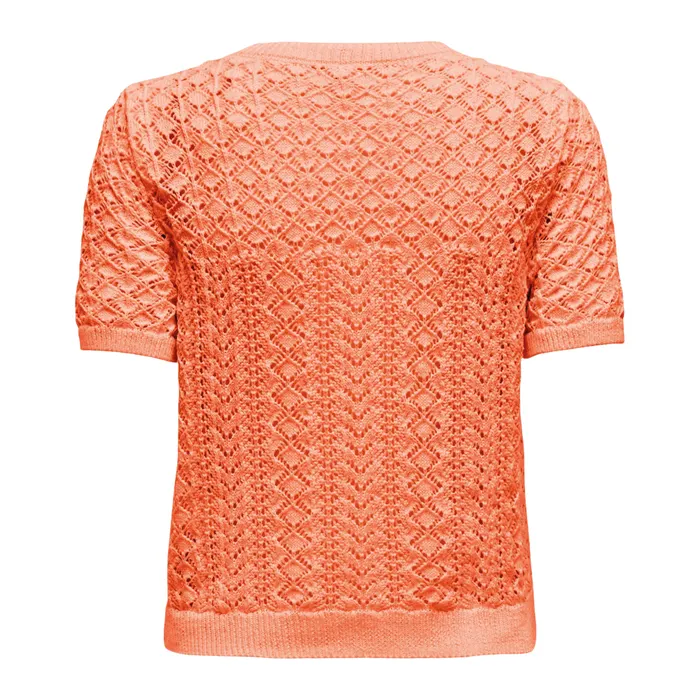 Only Saga Life Knitted Crew Shirt Dames