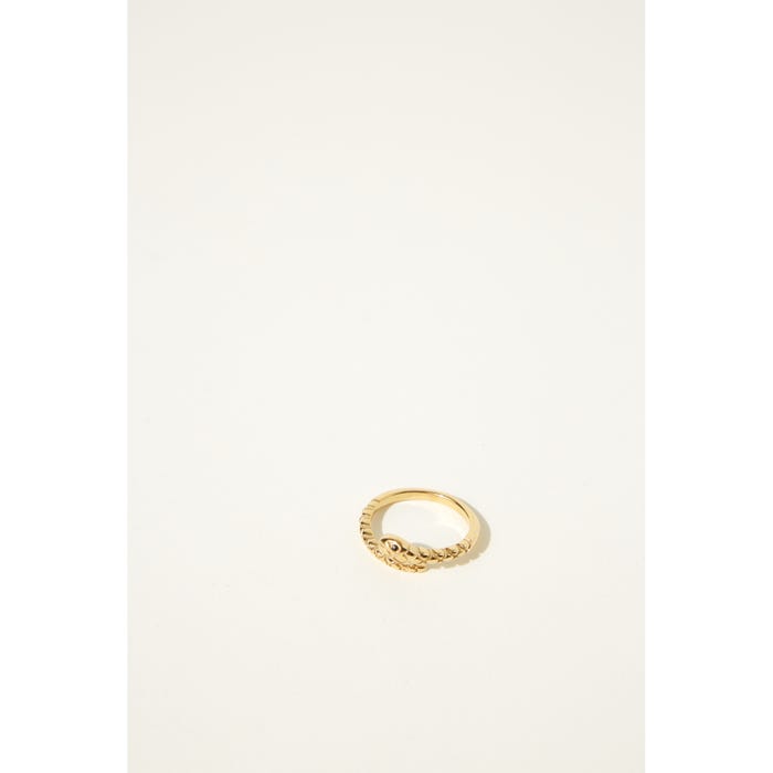 Veritas-Ring slang