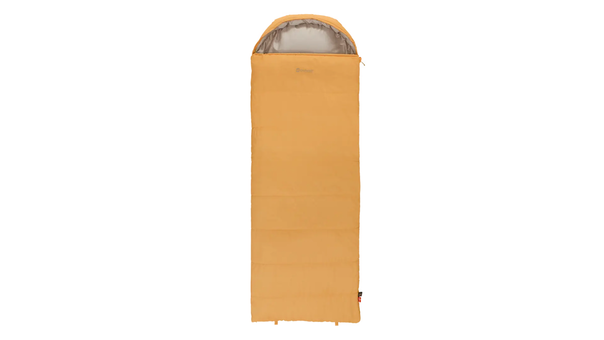 Campion Prime Yellow