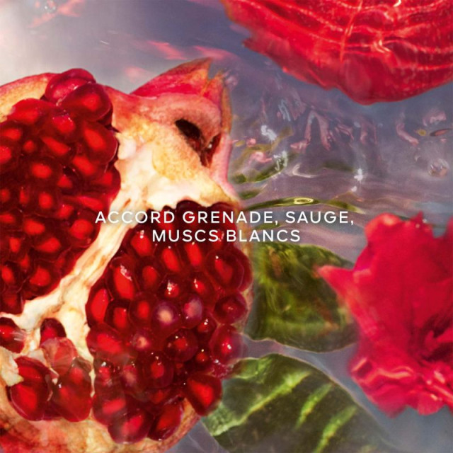 Aqua Allegoria Granada Salvia GUERLAIN
