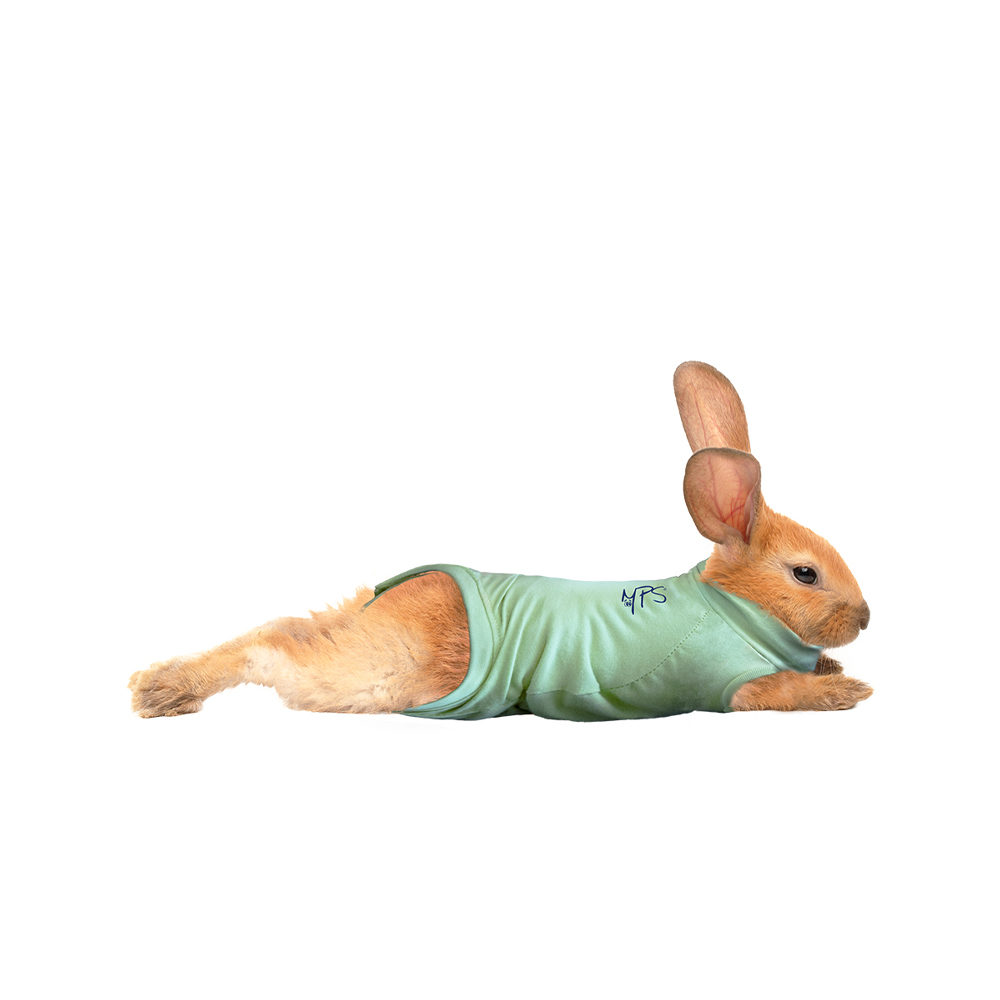 Medical Pet Shirt Konijn