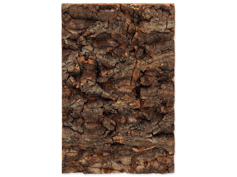 Repti Planet Kork-Rück Wand 19 x 12.3 x 2 cm Terrarienrückwand aus Kork