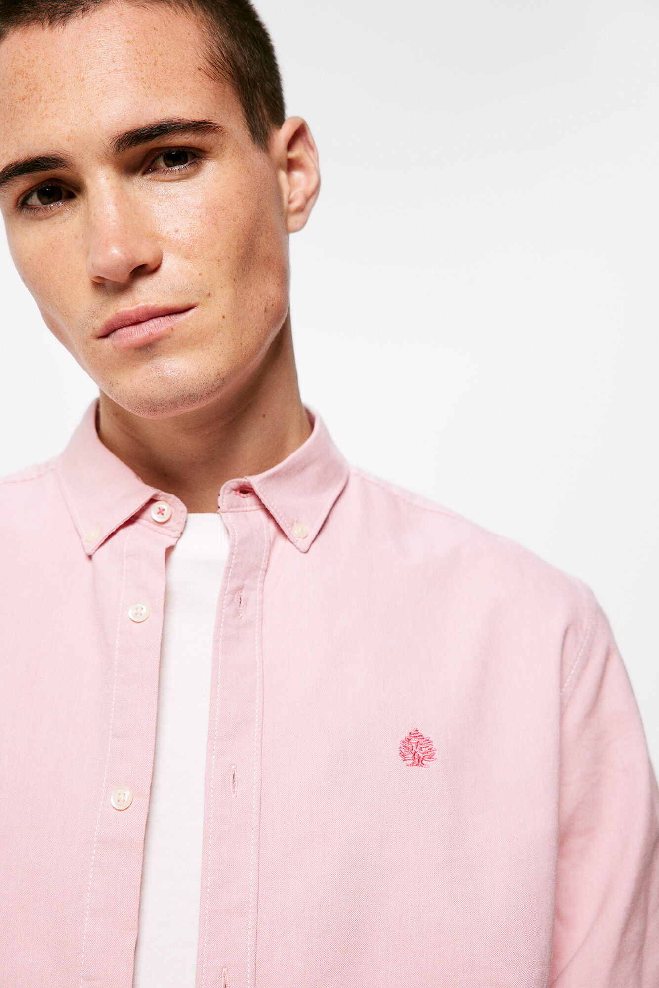 Cor da camisa Oxford