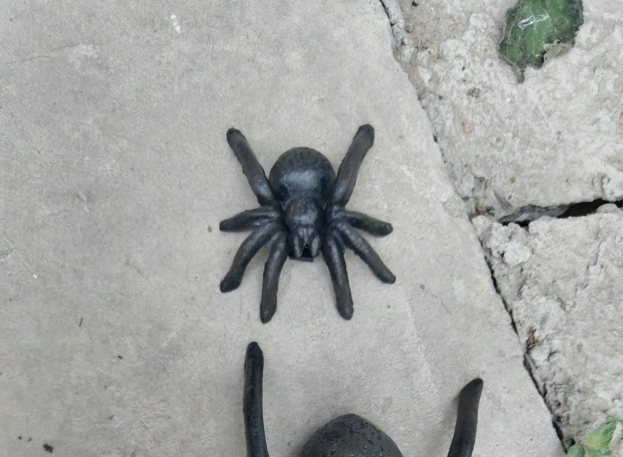 kleine Spinne aus Gusseisen, B 8 cm, L 7 cm, H 2,5 cm von fischer's lagerhaus