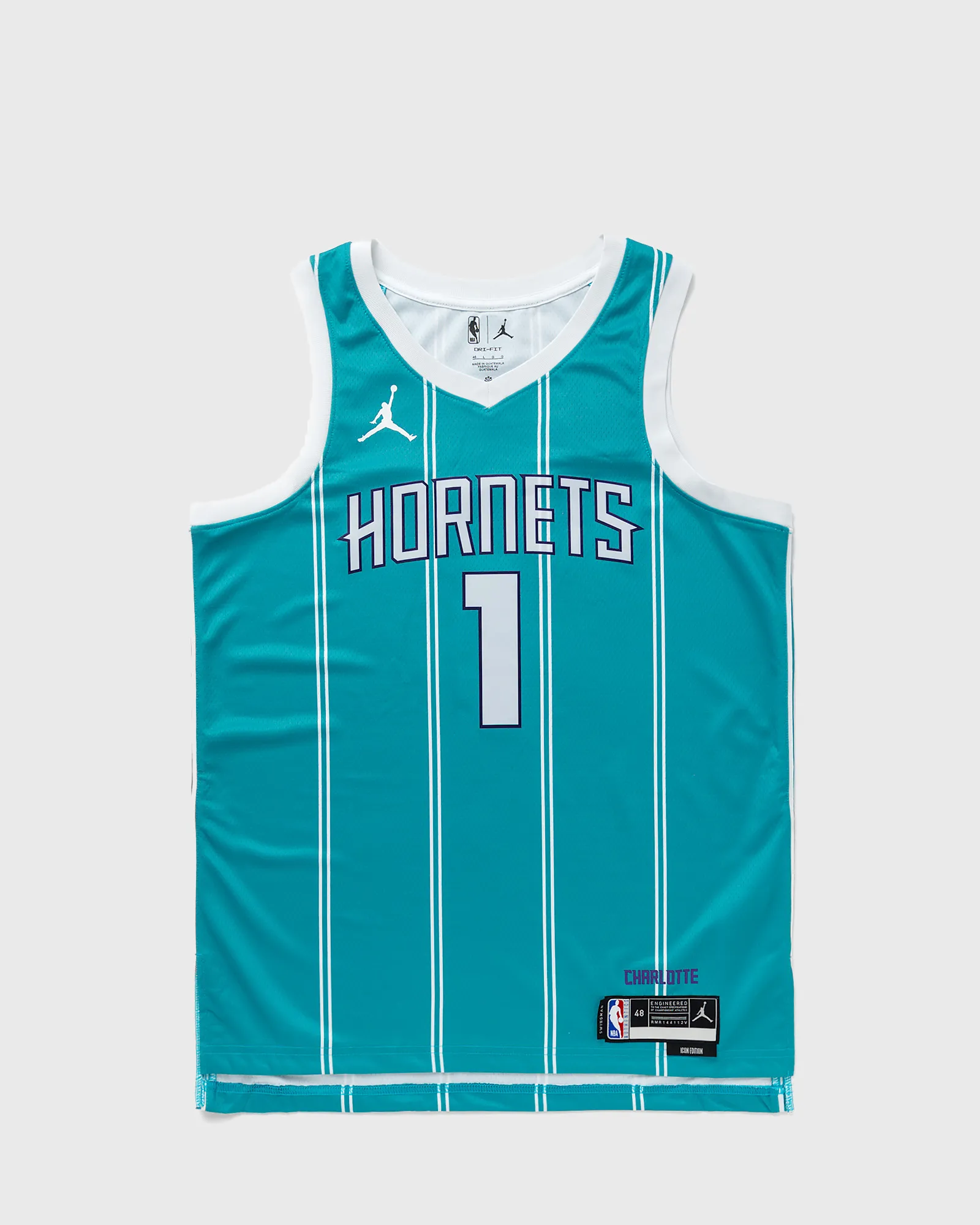 Nike Charlotte Hornets Icon Edition 2022/23 Jordan Dri-FIT NBA Swingman Trikot