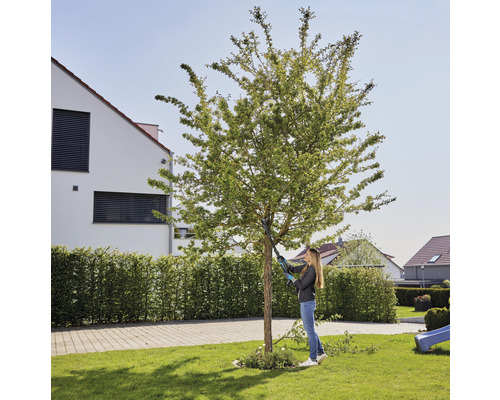 GARDENA HighCut 110/18V P4A accu-boomsnoeier (zonder accu en lader), snijhoogte tot 2,5 m