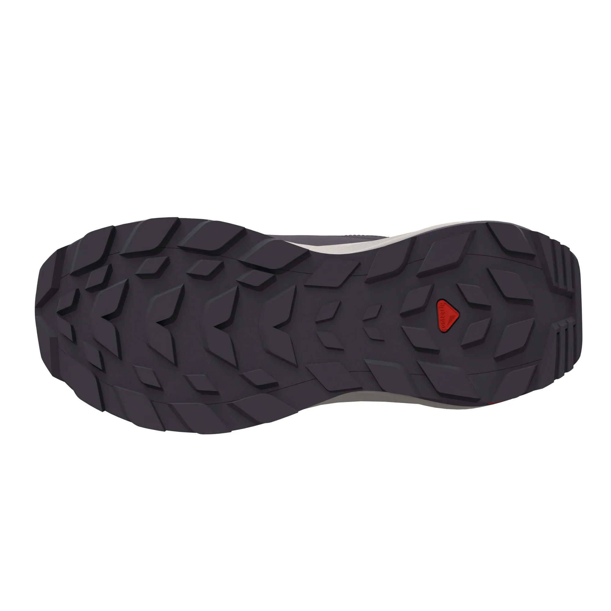 Salomon Women's Elixir GORE-TEX Nine Iron/Silver Cloud/Sponge