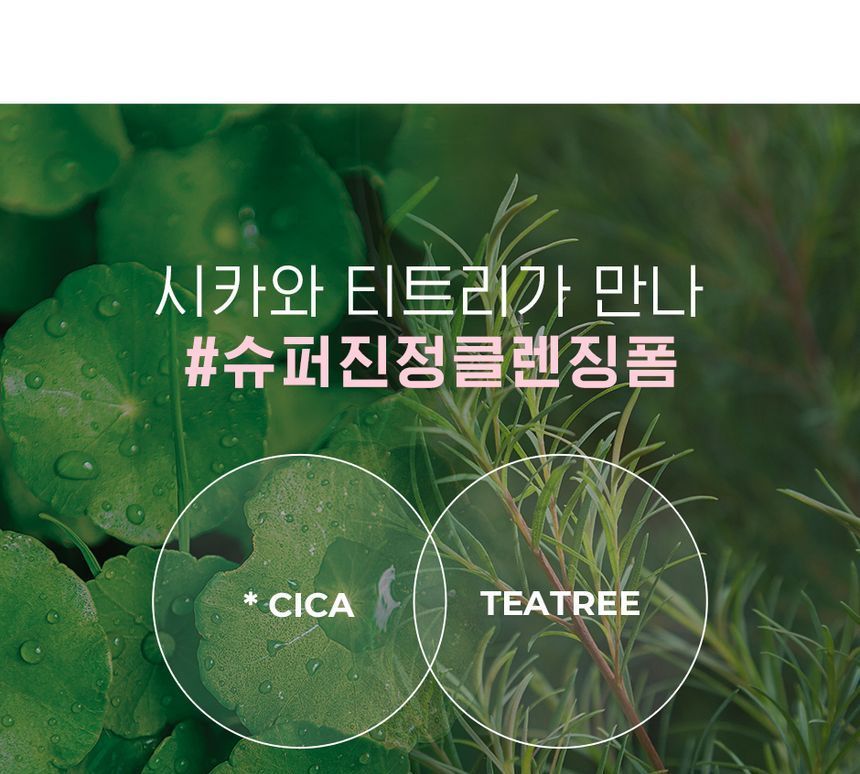 NEOGEN - Dermalogy Calming Cica Tree Micellar Cleansing Foam JUMBO
