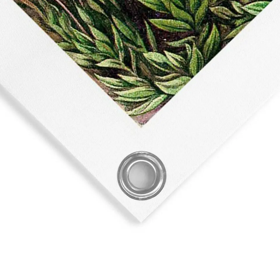 Tuinposter Sea Flora - 80x60cm - Groen