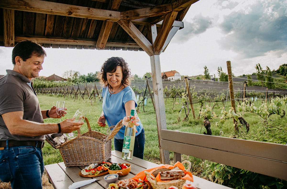 Picknick Bad Waltersdorf