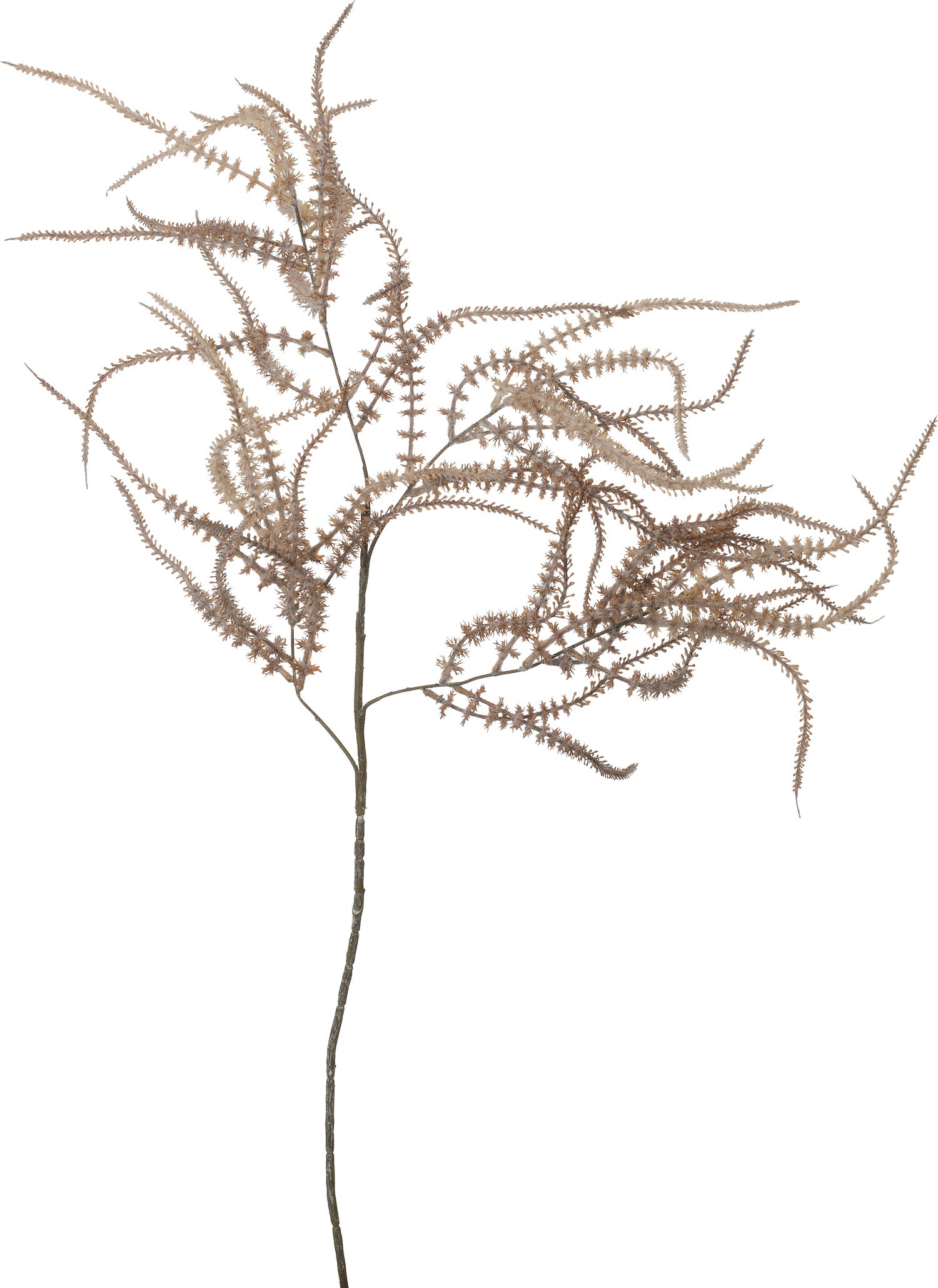 Intratuin kunstbloem Zilverkaars bruin 105 cm