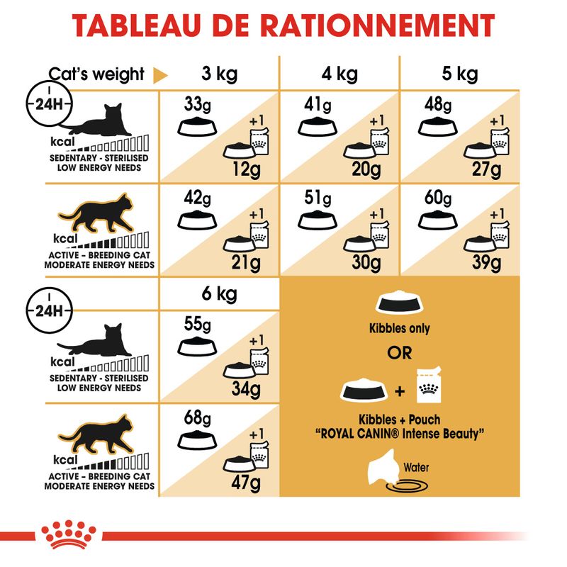 Royal Canin Siamois Adult à prix discount sur bitiba.fr