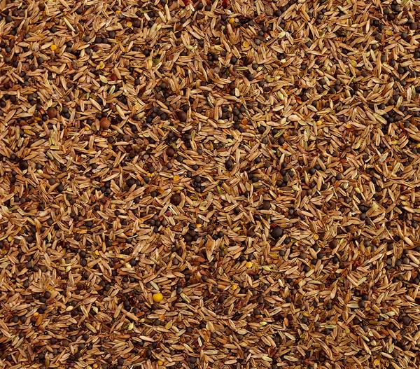 Dehner Lieblinge Feinsämereien, 500 g