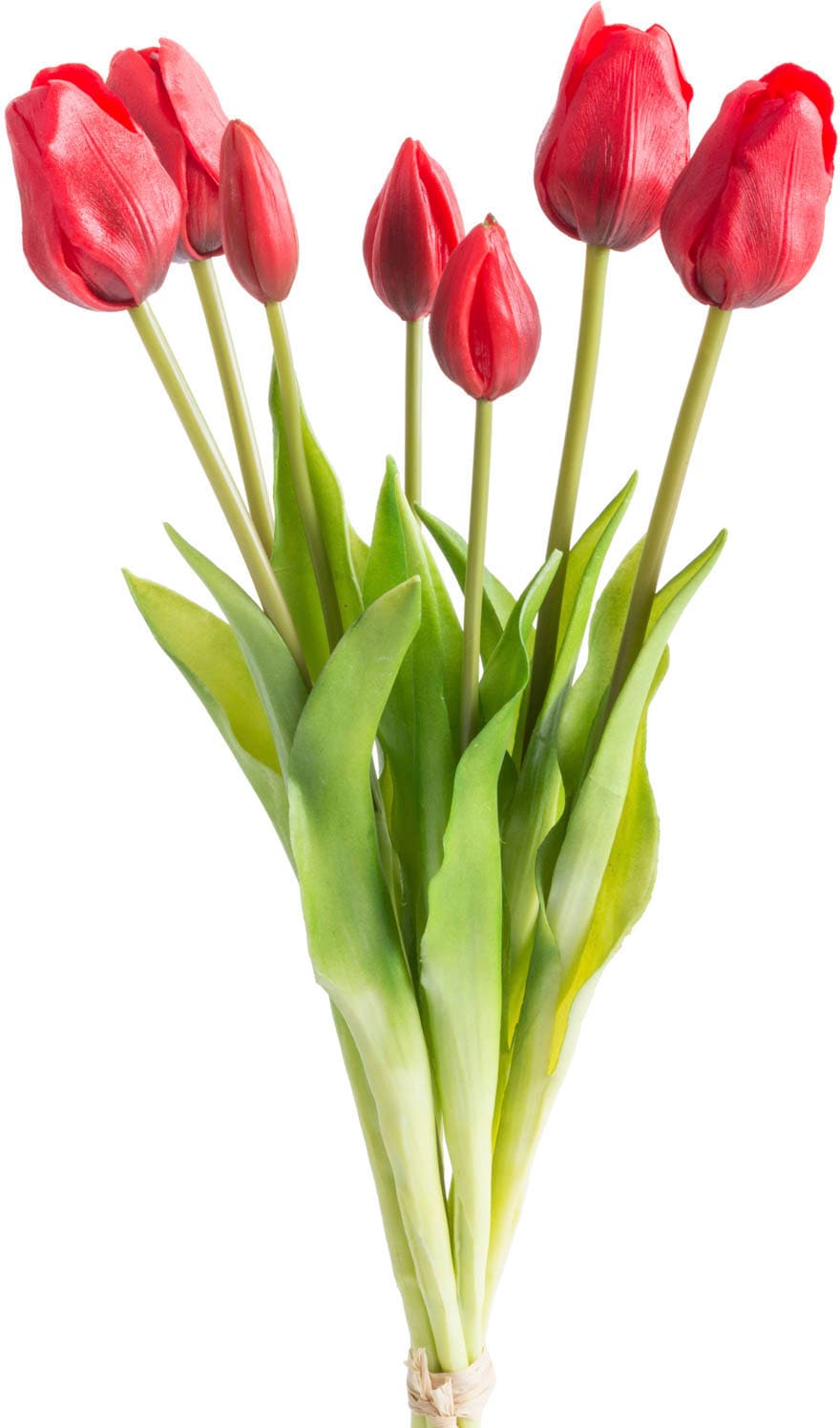 my home Kunstpflanze »Maiva« Tulpenbündel im 7er-Set