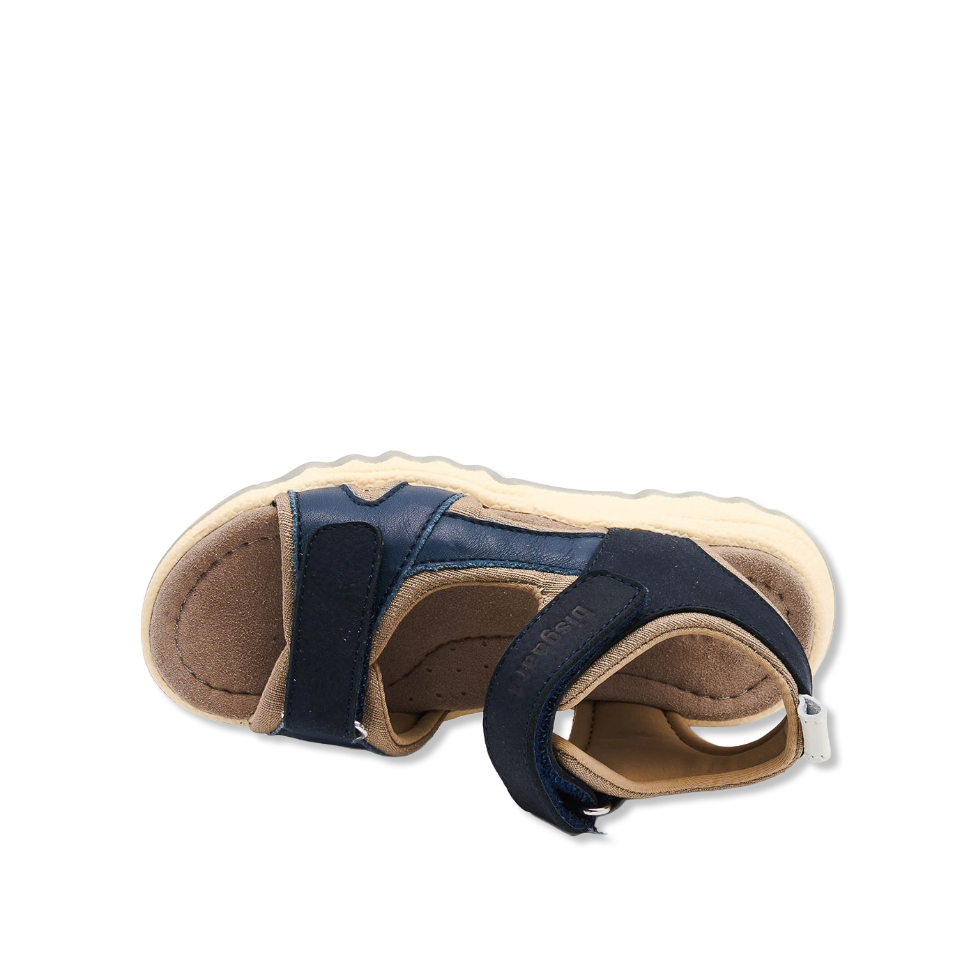 Coco Sandaler