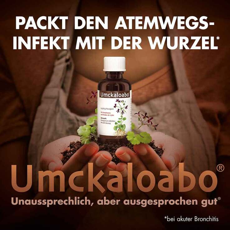 Umckaloabo Tropfen, 2x100 ml