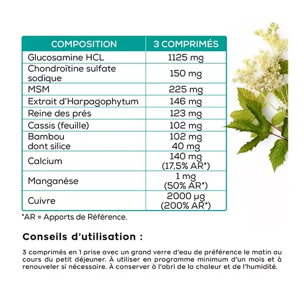 Granions Chondrostéo Articulations 270 comprimés