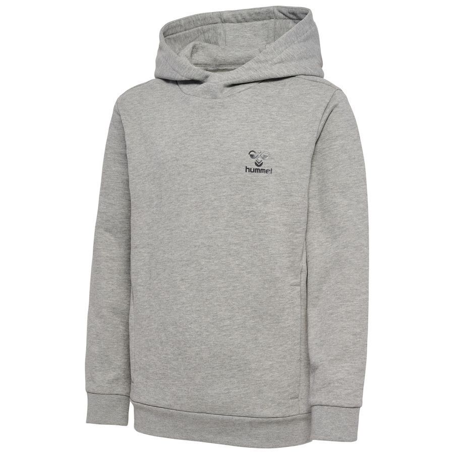 Sweat à capuche