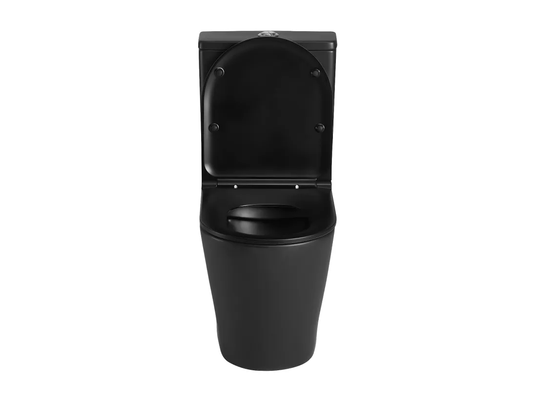 Toilette WC à poser TURIN en céramique noir mat