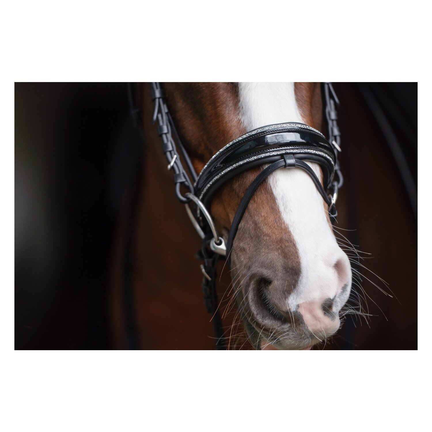 Cheval de Luxe Trensenzaum San Francisco  - schwarz