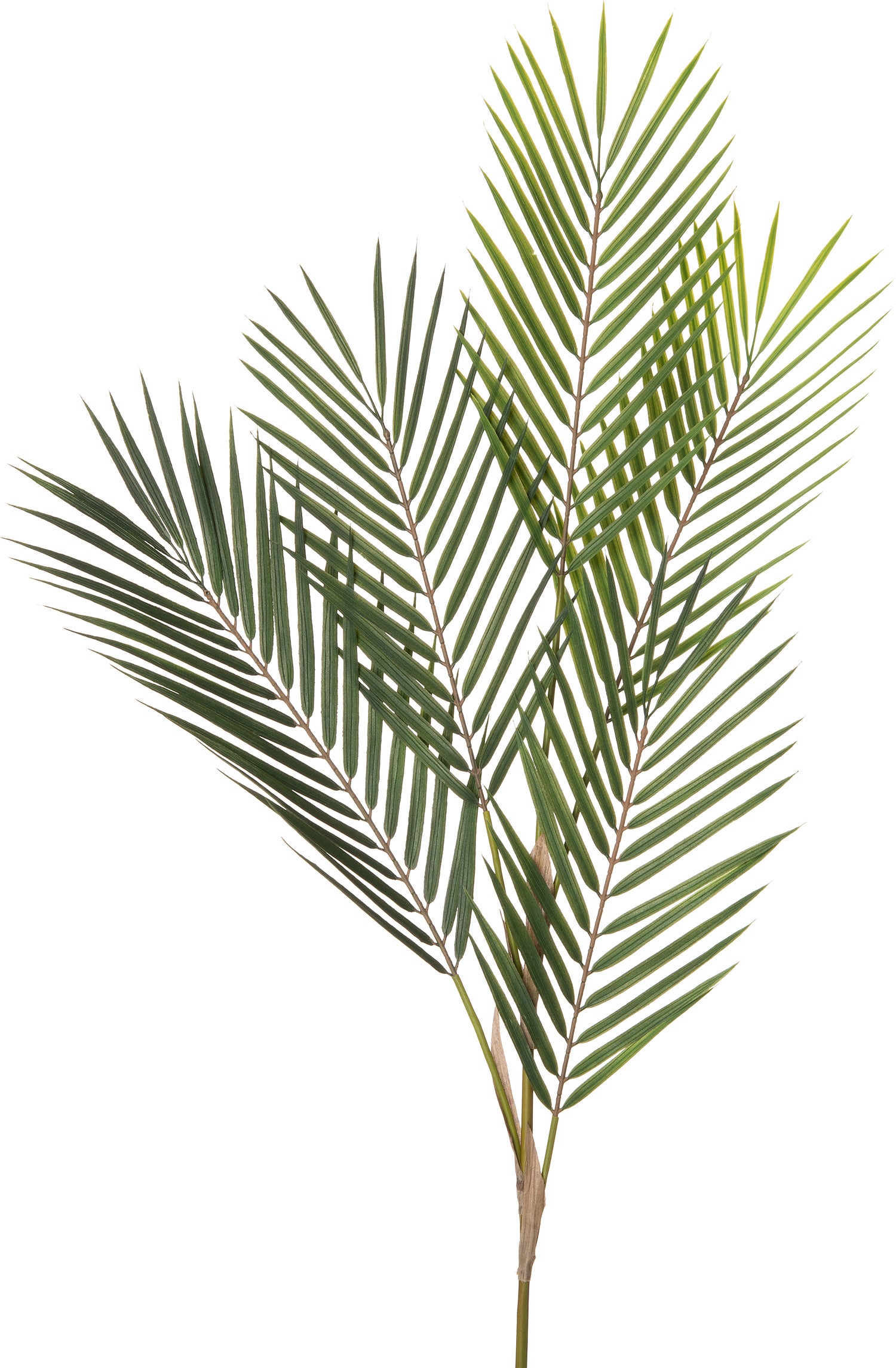 Intratuin kunsttak palm blad 80 cm
