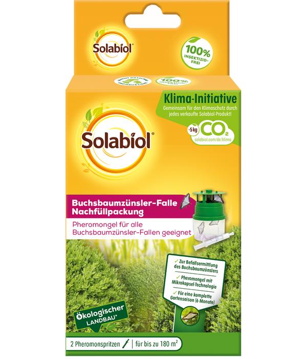 Solabiol Buchsbaumzünsler-Falle