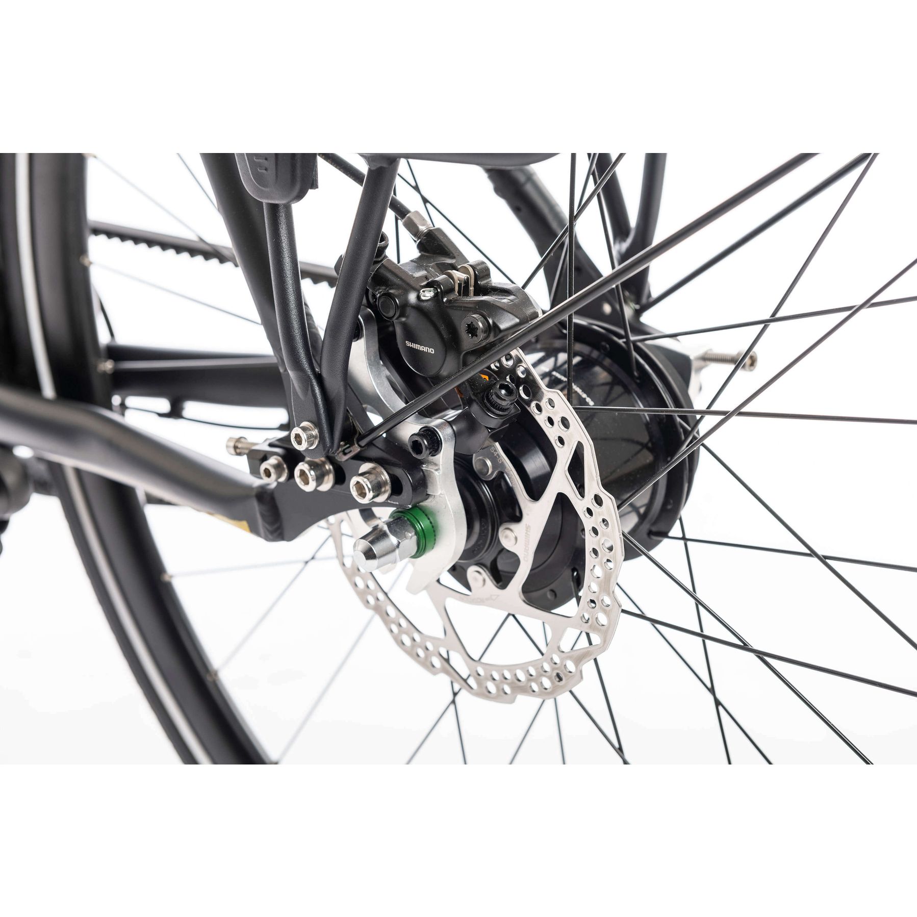 Sensa Cintura LTD Alfine 8 2025