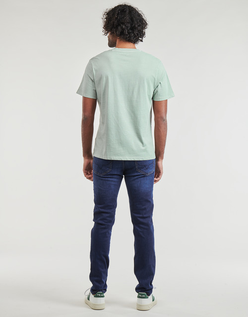 Pepe jeans - JACKO - Gris