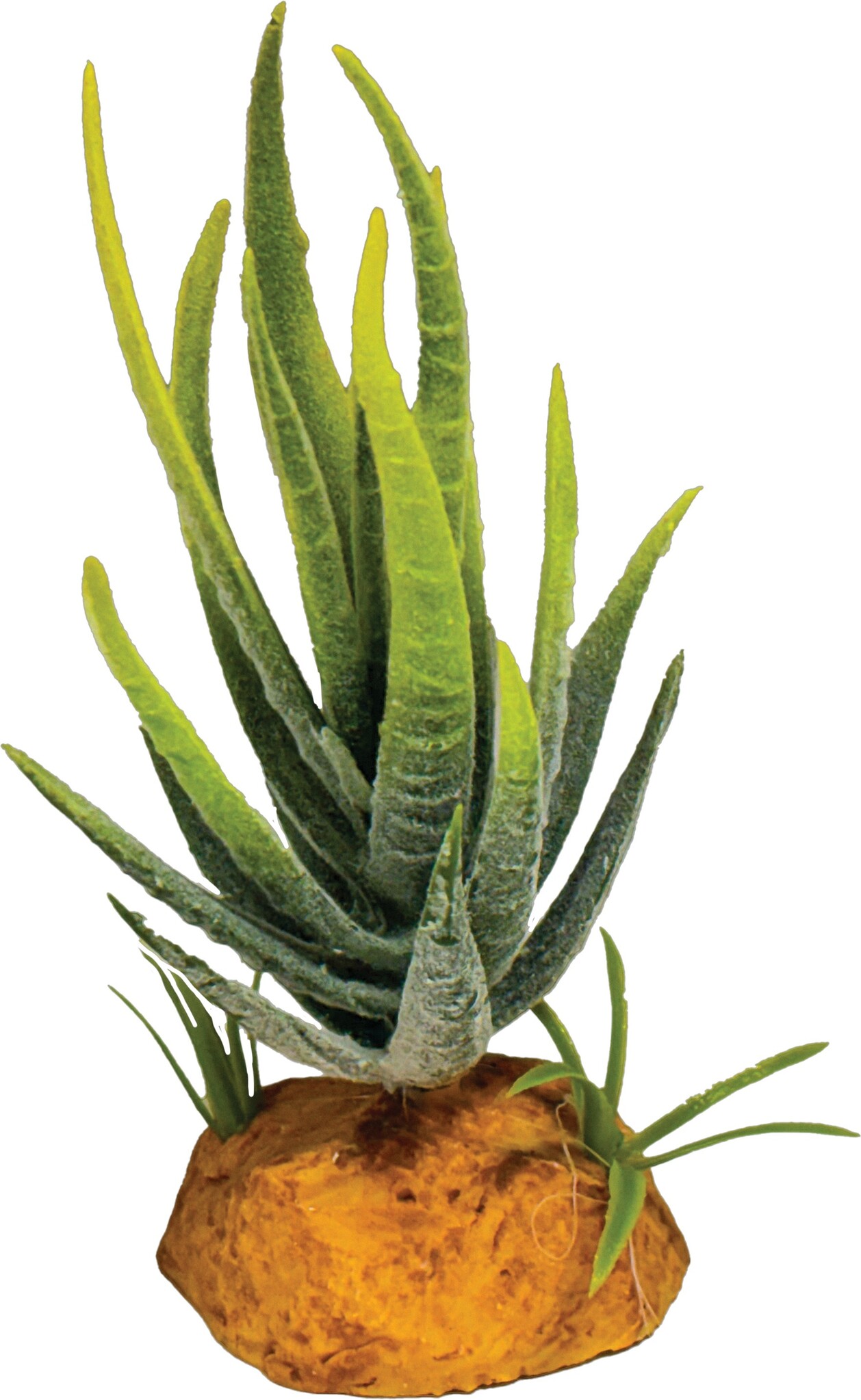Repto Terrarium Kunstplant Aloe Green