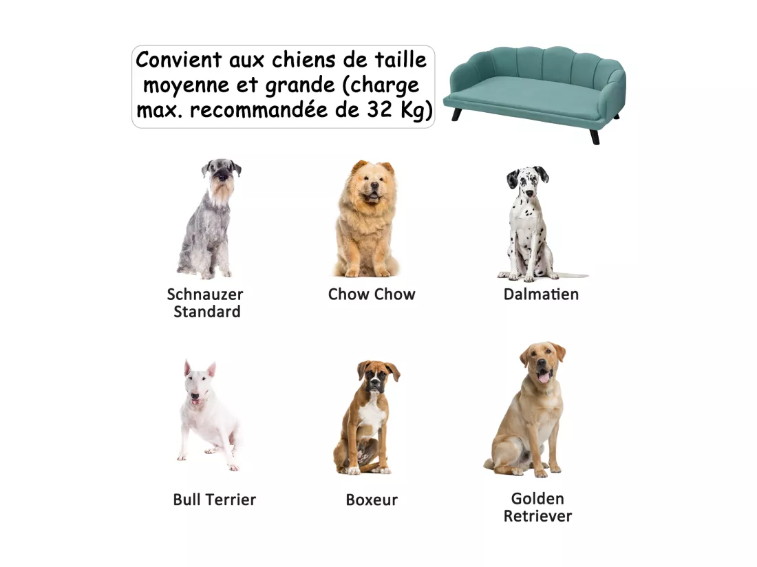 Canapé chien lit pour chien chat design contemporain coquillage dim. 98L x 60l x 35H cm coussin moelleux velours vert